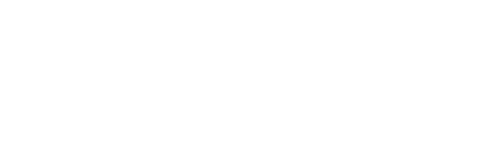 The Effie Lions Foundation Logo